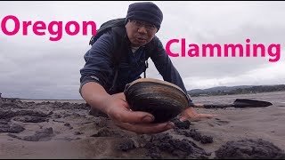 Oregon Clamming  catch and clean clams [upl. by Rudolfo]