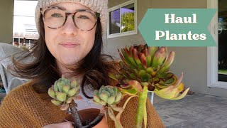 Haul plantes récup chez des particuliers [upl. by Laverna]