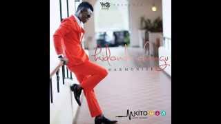 Harmonize  Kidonda Changu  Official Music Audio [upl. by Nies]