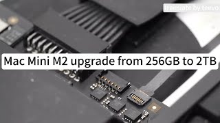 Upgrade Your Mac Mini M2 from 256GB to 2TB  Easy and Simple StepbyStep Guide for Maximum Storage [upl. by Akcinahs297]