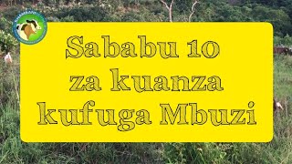 Sababu 10 kwanini ufuge mbuzi [upl. by Idak]