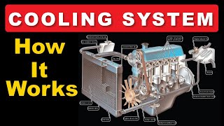 The cooling system explained [upl. by Ycats]