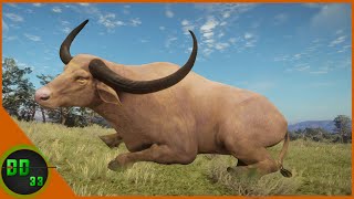 Huge RARE ALBINO WATER BUFFALO Call Of The Wild [upl. by Daht]