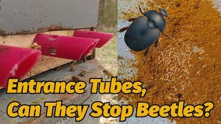 Will Tubed Bee Hive Entrances Stop Small Hive Beetles [upl. by Nadbus]