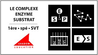 Le complexe enzymesubstrat  1ère spé SVT [upl. by Frodeen10]