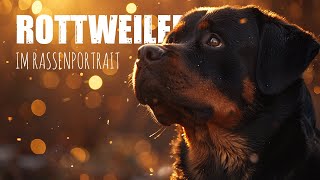 Der Rottweiler Rassenportrait  Geschichte Charakter und Erziehung [upl. by Earased]