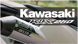 【Kawasaki KLX250】 DELTA Barrel4S 【Custom】 [upl. by Akimahs]