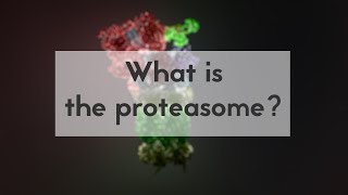 What is the proteasome [upl. by Tabber]