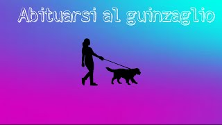 Episodio 30 Abituarsi al guinzaglio [upl. by Dunseath]