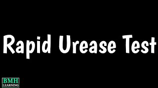 Rapid Urease Test  CLO Test  H pylori Test [upl. by Purcell]