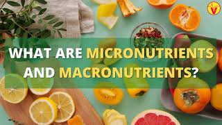 Micronutrients and Macronutrients What is the Difference [upl. by Anderegg944]