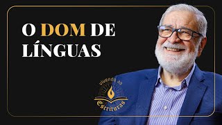 O Dom de Línguas  Augustus Nicodemus  VivendoAsEscrituras [upl. by Oruhtra]