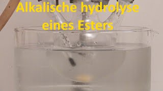 Alkalische Hydrolyse von Methylacetat [upl. by Tnirb]