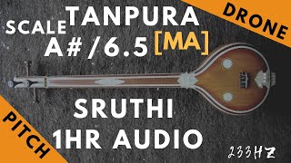 Tanpura Sruthi  Drone  A Scale or 65 Kattai  Ma Madhyamam Madhyam  233Hz [upl. by Luapnaes]