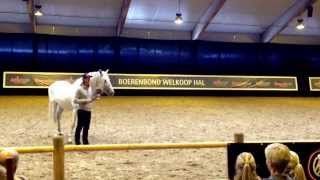 Clinic Frederic Pignon  Horse Event Deurne [upl. by Araiet556]