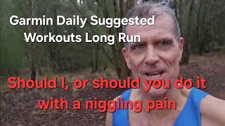 Should you do the long run in Garmin Daily Suggested Workouts with a niggle [upl. by Goddard]