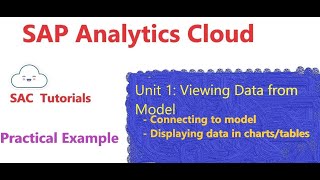 8 How to View Data from Model in SAC  SAP Analytics Model [upl. by Esilrahc]