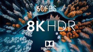 8K HDR 60fps Dolby Vision with Relaxing Piano Forest Snow [upl. by Gorrian]