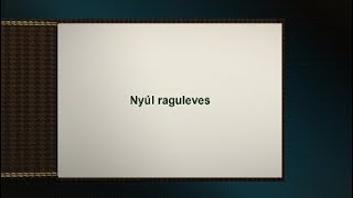 Nyúl raguleves [upl. by Halyk]