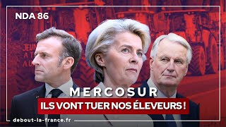 NDA86 · Mercosur  ils vont tuer nos éleveurs [upl. by Rawdin]