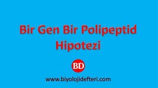 GENDEN PROTEİNE9  Bir Gen  Bir Polipeptid Hipotezi [upl. by Maisie]