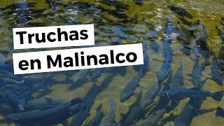 ¿Qué comer en Malinalco  Criadero de truchas  Cómo llegar menú precios nieve Malinalli y más [upl. by Sanson]