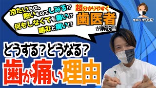 【歯 痛い 原因 対処】歯科医師が「歯が痛い」理由と治療方法を超分かりやすく解説（2022年） [upl. by Tarryn]