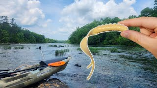 Flint River Kayak Fishing [upl. by Kissee]