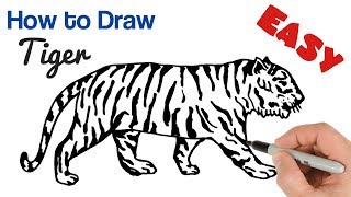 How to Draw a Tiger Easy  Animals Drawing Art Tutorial [upl. by Rabelais]