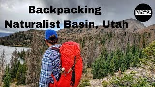 High Uintas Backpacking Naturalist Basin The Crown Jewel of The Uintas [upl. by Laertnom]