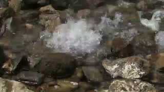 Boiling hot spring in Savusavu Vanua Levu FijiUnreal place to cook [upl. by Osmond]