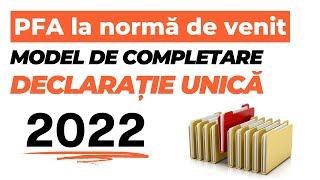 Model completare declarație unică PFA normă de venit 2022 [upl. by Lilyan]