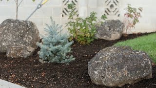 Landscape Makeover Part 6 Placing Rocks 💪🌿 Garden Answer [upl. by Anastas]