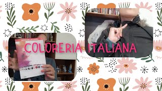 RECENSIONE COLORERIA ITALIANA COLORE NERO SU MACCHIA DI CANDEGGINA [upl. by Averil]