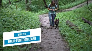 Blue9s MultiFunction Leash  Best Dog Training Leash for Hikes and to Stop Pulling [upl. by Nancie]