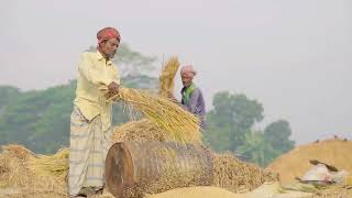 Importancia de la agricultura en un país [upl. by Osmo]