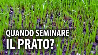 3 SEGRETI PER RISEMINARE BENE IL PRATO IN AUTUNNO [upl. by Vladamir]