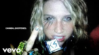 Kesha  Cannibal Shortened [upl. by Damahom504]