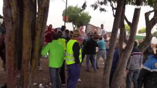 Altercado en Tordesillas mientras escoltan a los animalistas que abandonan la zona [upl. by Nancie]