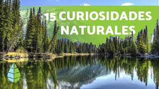 15 CURIOSIDADES de la NATURALEZA que te sorprenderán [upl. by Dnaleel]