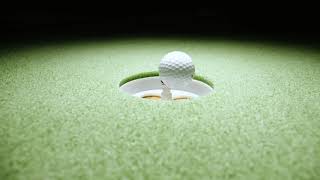 Discover the BirdieBall Difference  Worlds Best Indoor Putting Technology [upl. by Aicenaj]