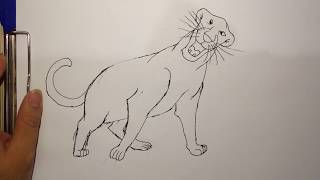 Bagheera  How to draw Bagheera from Jungle book quickly and easy [upl. by Napas]