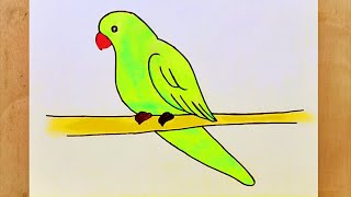 Parrot Drawing Easy  How To Draw A Parrot Step By Step Easy [upl. by Alayne]