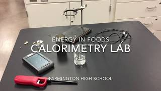 Energy in Foods Calorimetry Lab [upl. by Gustavo]