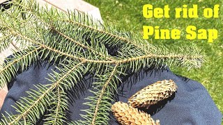 How to remove pine sap [upl. by Courtney16]