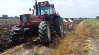 Fiatagri 18090  quadrivomero moro warrior [upl. by Nhar]