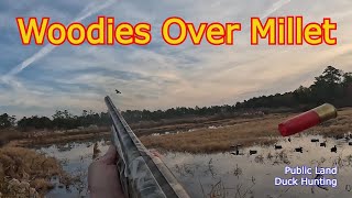 North River Gameland  Public Land Duck Hunting in North Carolina [upl. by Judas351]