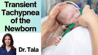 Transient Tachypnea of the Newborn  TTN  Tala Talks NICU [upl. by Neeoma985]