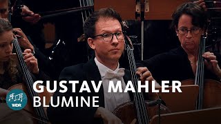 Gustav Mahler  Blumine  Constantinos Carydis  WDR Sinfonieorchester [upl. by Adlitam557]