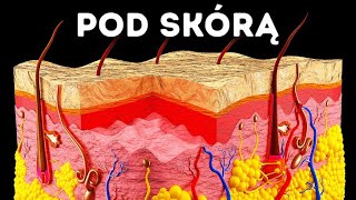 Podróż przez skórę [upl. by Decima]